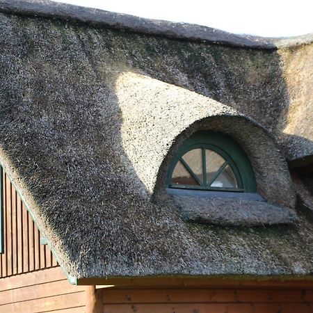 Chaumière d'Albâtre -Gîte-Détente nature et bien être Ourville-en-Caux Esterno foto