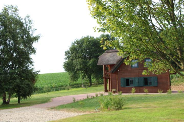 Chaumière d'Albâtre -Gîte-Détente nature et bien être Ourville-en-Caux Esterno foto
