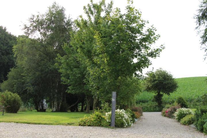 Chaumière d'Albâtre -Gîte-Détente nature et bien être Ourville-en-Caux Esterno foto