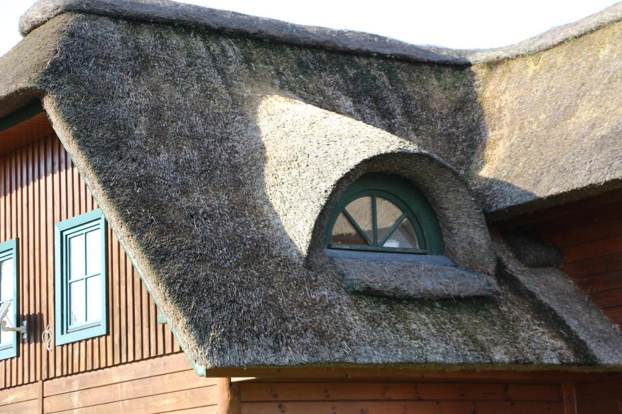 Chaumière d'Albâtre -Gîte-Détente nature et bien être Ourville-en-Caux Esterno foto